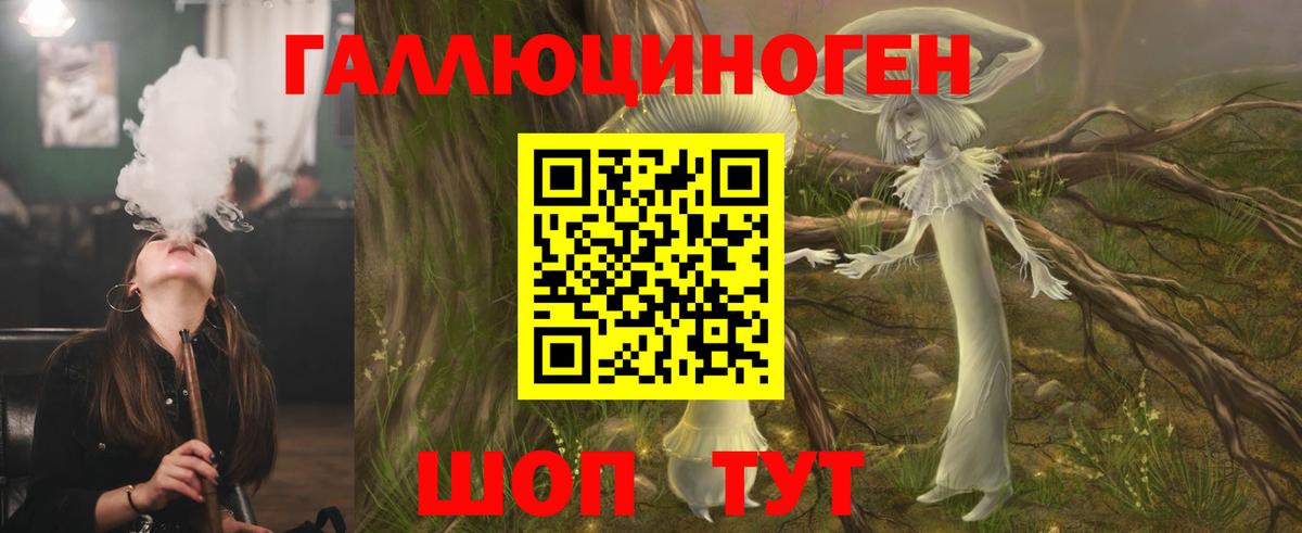 Кириши  Псилоцибиновые грибы MAGIC MUSHROOMS  Вход с VPN  Псилоцибиновые грибы Magic Shrooms 