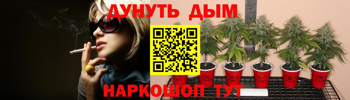 Кириши  Бошки Шишки план  Бошки Шишки VHQ  Вход с VPN  МАРИХУАНА индика  Марихуана индика 